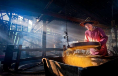 北京和众汇富：为何金龙鱼的毛利率这么低？